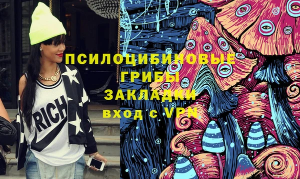 a pvp Алзамай